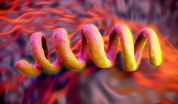 Cinsel yolla bulaşan hastalıklar nelerdir ve nasıl tedavi edilir?