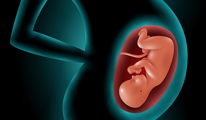 Yapay Rahim Tedavisi anne adaylarına umut oluyor